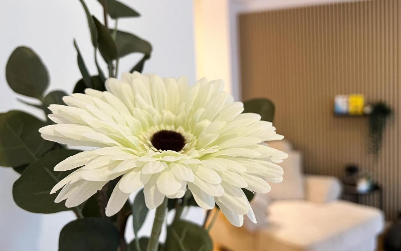 Modernes Studio Appartement Mit Leseecke Gernsbach Εξωτερικό φωτογραφία